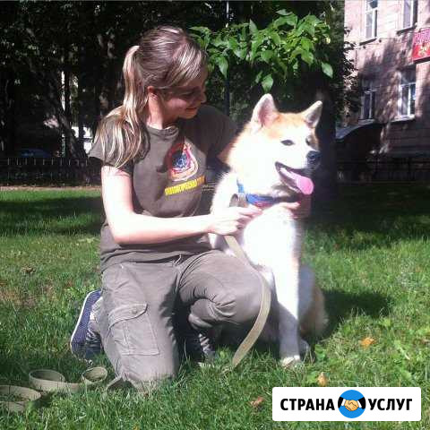 Клуб Юный кинолог приглашает на занятия Санкт-Петербург - изображение 1