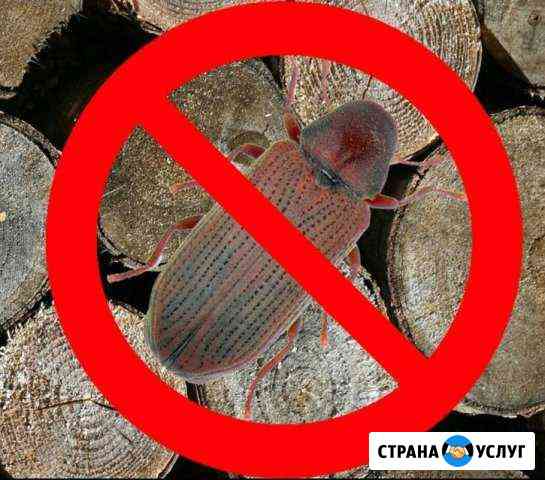 Уничтожение короеда, шашеля, плесени свч излучател Саки