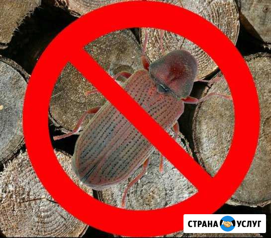 Уничтожение короеда, шашеля, плесени свч излучател Саки - изображение 1