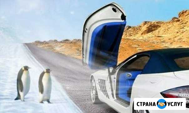Заправка, диагностика, ремонт автокондиционеров Мелеуз - изображение 1