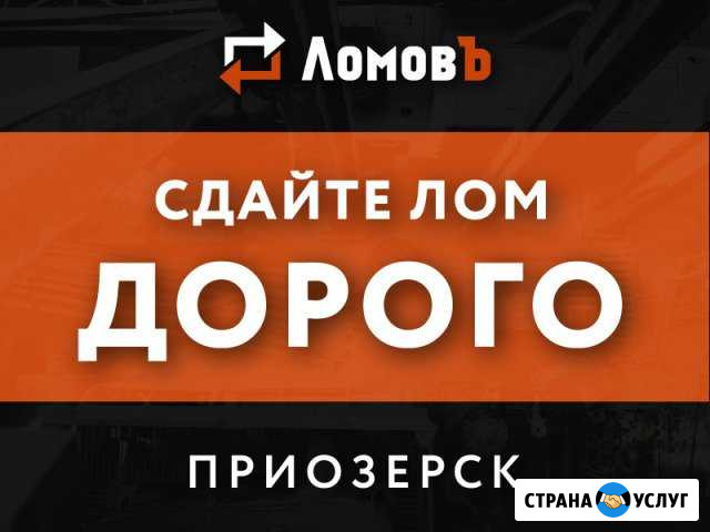 Прием металлолома/Сдать лом/Чермет. Вывоз/Демонтаж Приозерск - изображение 1