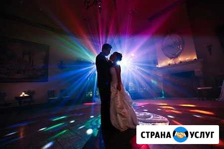 Фотограф Видеограф Ведущий Диджей Ногинск - изображение 1