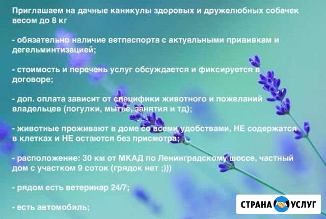 Зоогостиница Поварово - изображение 1
