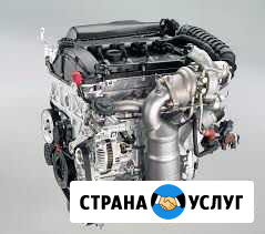 Пежо Ситроен автоэлектрика ремонт двс еп6 тнвд Мурманск - изображение 1