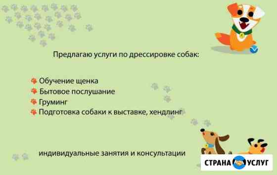 Хэндлер, грумер, послушание (домашнее) Малоярославец