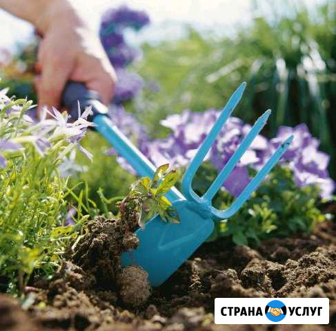 Прополка травы и покос травы Рязань - изображение 1