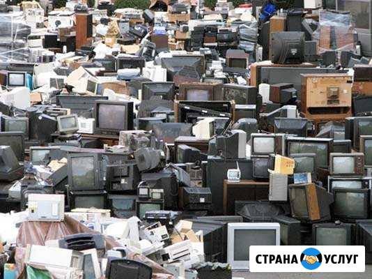 Утилизация электроники Димитровград - изображение 1