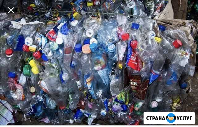 Приём пэт бутылок от 30т в месяц Новая Усмань - изображение 1