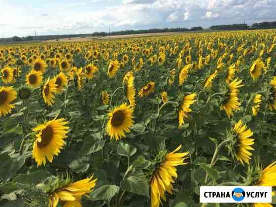 Фотосьемка Ульяновск