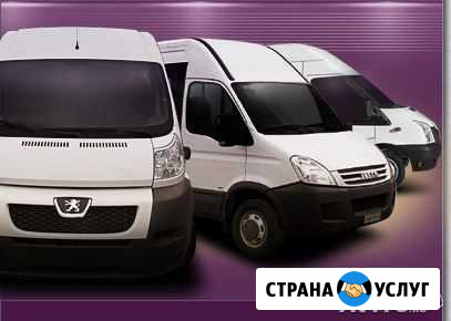 Аренда автобуса и заказ пассажиских перевозок Плешаново - изображение 1