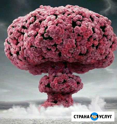 Уборка квартиры Симферополь - изображение 1