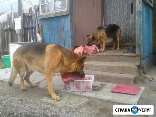 Вязка Курган - изображение 1