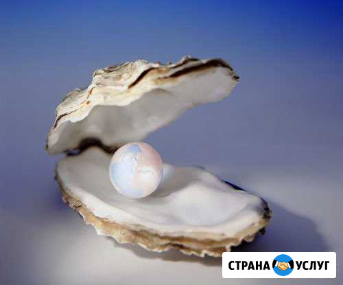 Ликбез дошколят Ракушка Альметьевск - изображение 1