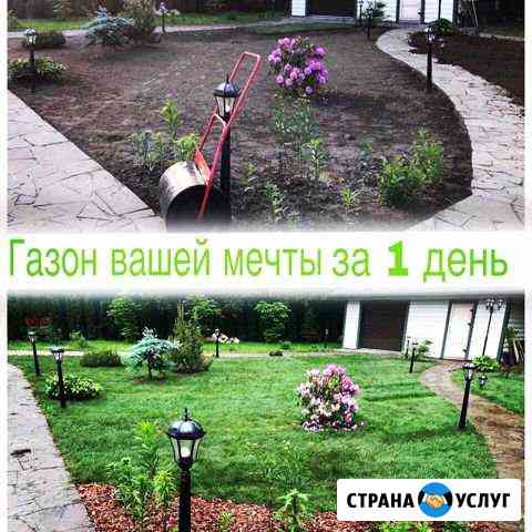 Рулонный газон под ключ в спб и ло Санкт-Петербург