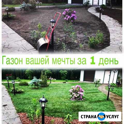 Рулонный газон под ключ в спб и ло Санкт-Петербург - изображение 1