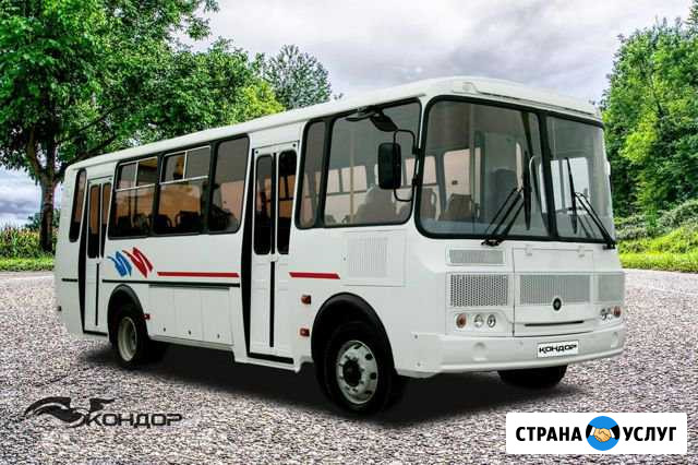 Автобус паз 30 мест (Пассажирские перевозки ) Киров - изображение 1