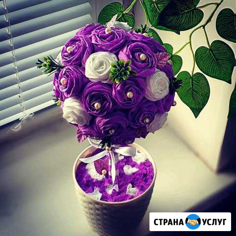 Топиарий на заказ Домодедово - изображение 1