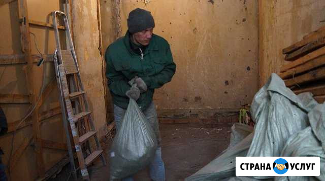 Вывоз мусора. Грузчики. Частник Самара - изображение 1