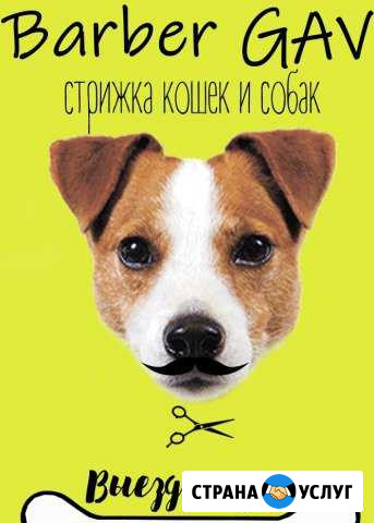 Груминг. Стрижка кошек и собак Павловский Посад - изображение 1