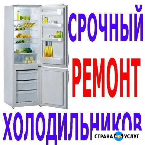 Ремонт холодильников в Челябинске Челябинск - изображение 1