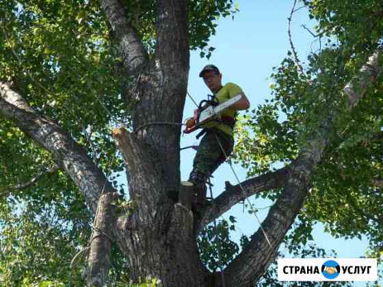 Спиливание, Опиливание, Обрезка и Формирование Липецк