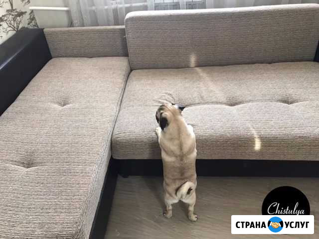 Глубокая чистка мягкой мебели Самара - изображение 1