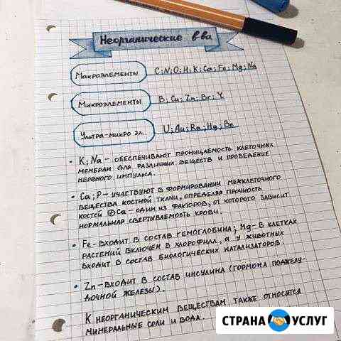 Перепишу лекции,конспекты Уфа