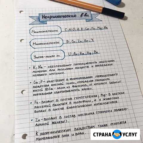 Перепишу лекции,конспекты Уфа - изображение 1