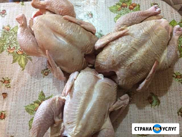 Мясо бройлера Скопин - изображение 1