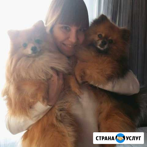Передержка собак Самара - изображение 1
