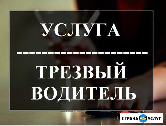Трезвый Водитель Березовский - изображение 1
