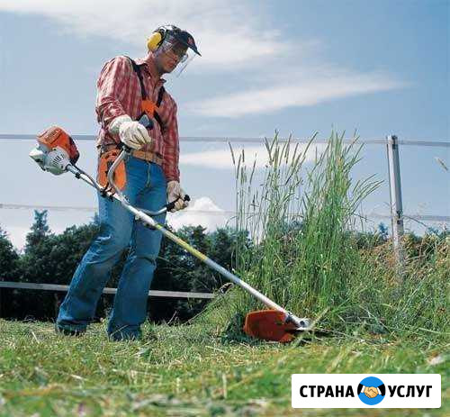Покос травы Лукоянов - изображение 1