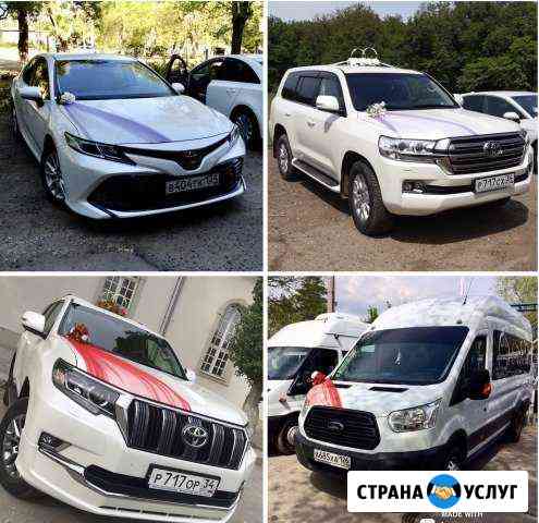 Пассажирские перевозки, свадебный кортеж Волгоград