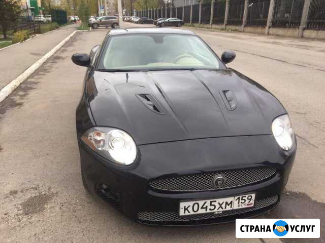 Автоподбор и выездная проверка Авто Пермь Пермь - изображение 1