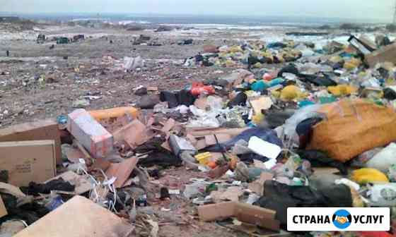Вывоз мусора / хлама переезды грузчики Барнаул