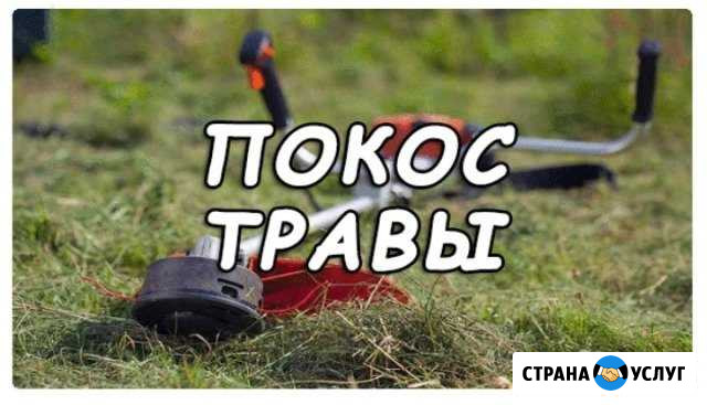 Покос травы Обнинск - изображение 1