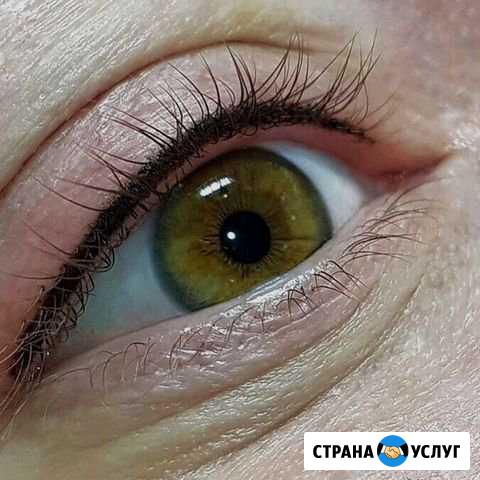 Татуаж Майкоп - изображение 1