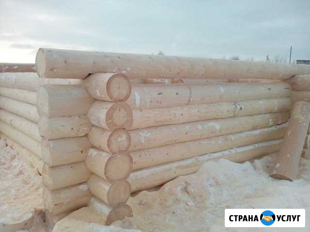 Срубы домов бань Вологда - изображение 1
