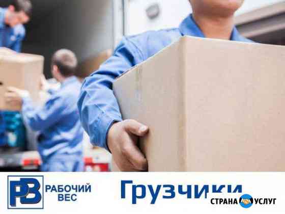 Грузчики Ростов-на-Дону