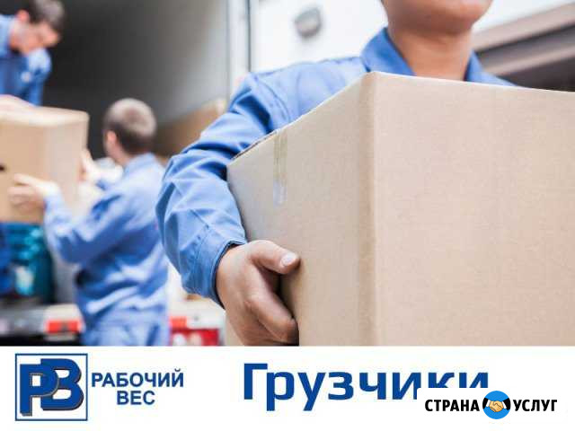 Грузчики Ростов-на-Дону - изображение 1
