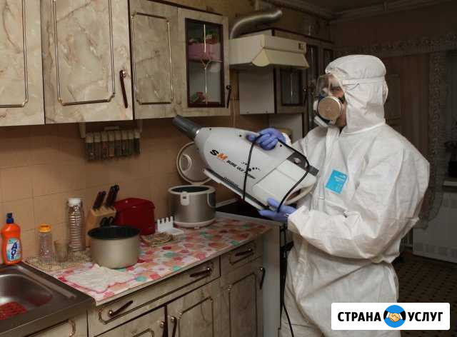 Санобработка Жигулевск - изображение 1