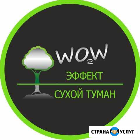 Удаление неприятных запахов в машине и помещении Пятигорск - изображение 1