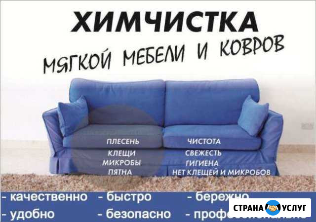 Химчистка мебели и ковров на дому Саранск - изображение 1