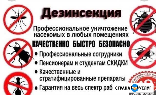 Уничтожение клопов, тараканов, блох, муравьёв Северск - изображение 1