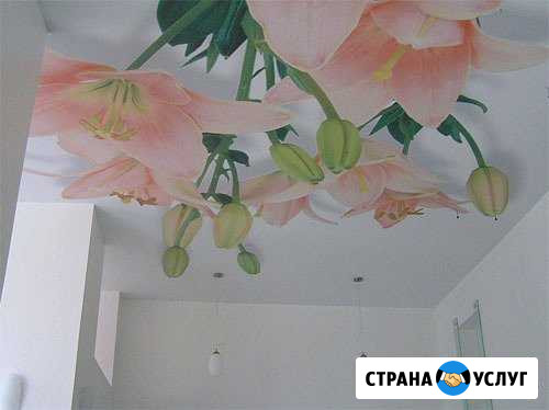 Натяжные потолки Нижнесортымский - изображение 1