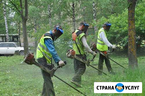 Выполняем различные виды работ Серебряные Пруды - изображение 1