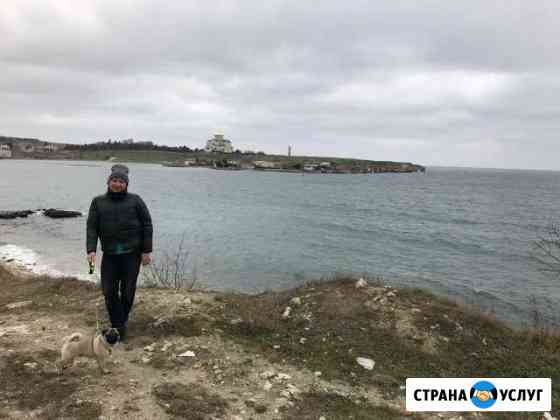 Передержка собак, выгул собак Севастополь