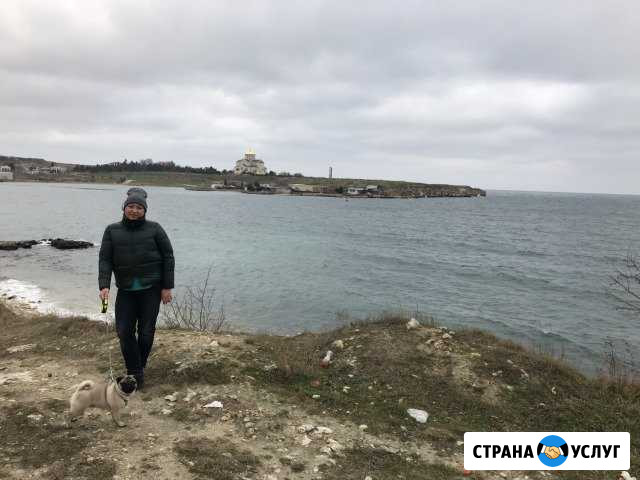 Передержка собак, выгул собак Севастополь - изображение 1
