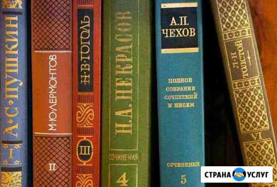 Подготовка к егэ и огэ по литературе Балашиха