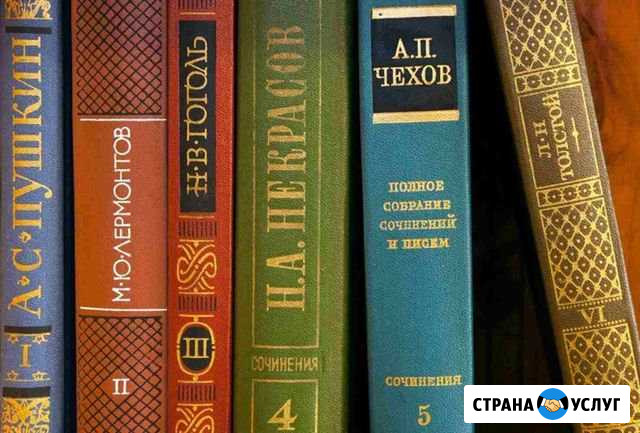 Подготовка к егэ и огэ по литературе Балашиха - изображение 1